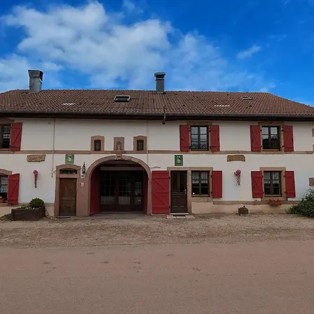 Σπίτι διακοπών Authentique Avec Terrasse Couverte, 16 Km De Gerardmer, 4 Chambres, Equipement Bebe, Wi-fi Inclus - Fr-1-589-231