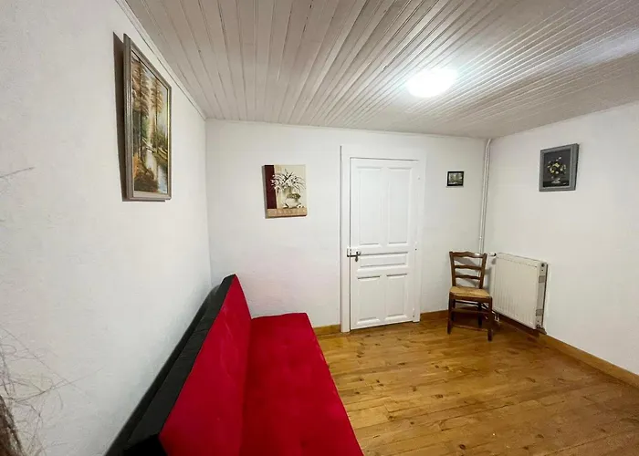Prázdninový dům Authentique Avec Terrasse Couverte, 16 Km De Gerardmer, 4 Chambres, Equipement Bebe, Wi-fi Inclus - Fr-1-589-231 *